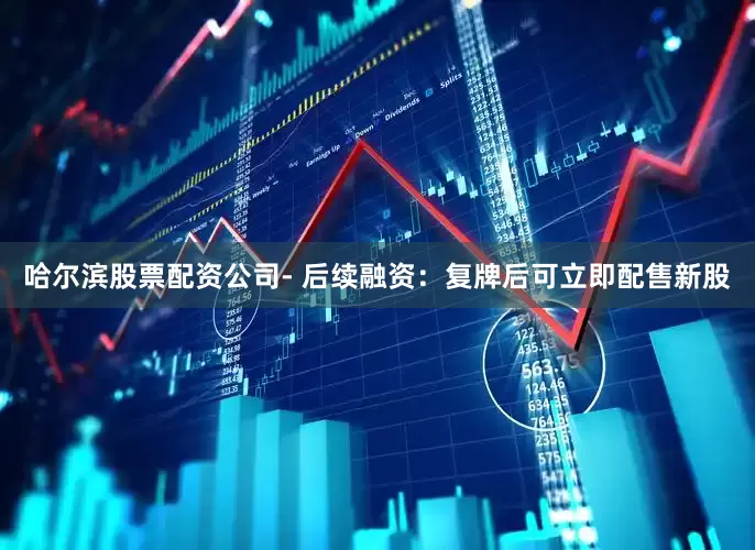 哈尔滨股票配资公司- 后续融资：复牌后可立即配售新股